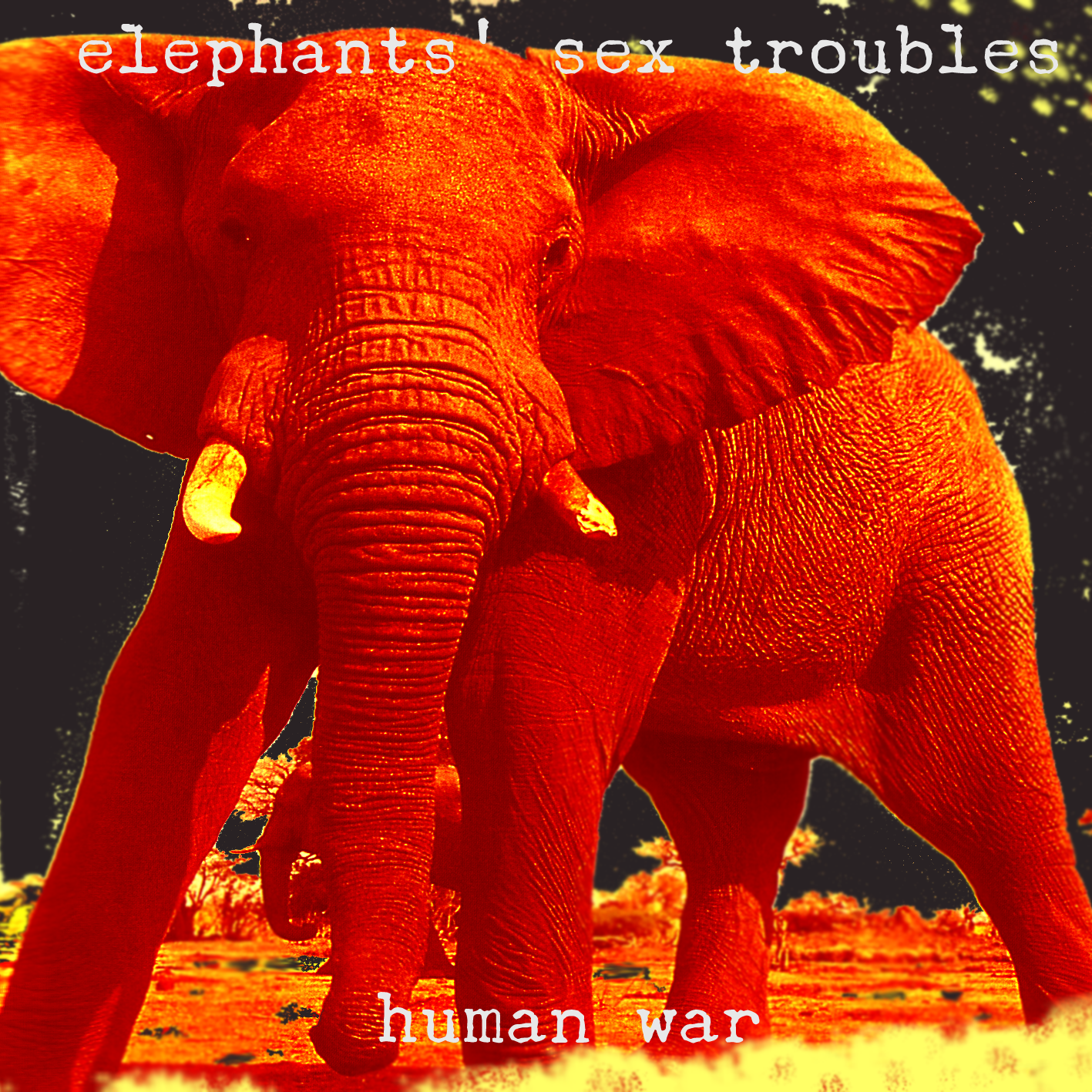 Human War